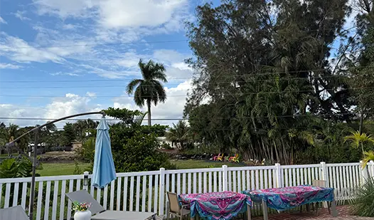 Backyard